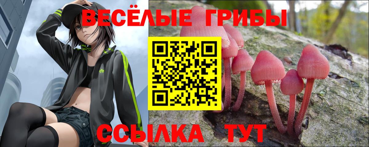 цена наркотик  Галлюциногенные грибы MAGIC MUSHROOMS  Вход с VPN  Городец 
