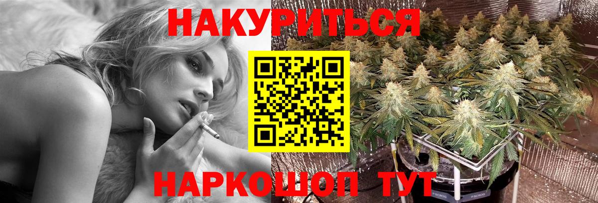 Городец  Бошки Шишки планчик  Бошки Шишки VHQ  МАРИХУАНА VHQ  Вход с VPN  Каннабис AK-47 
